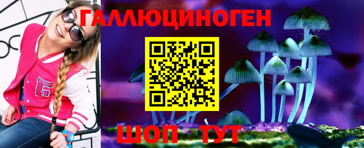 Ивантеевка  Псилоцибиновые грибы прущие грибы  Вход с VPN 